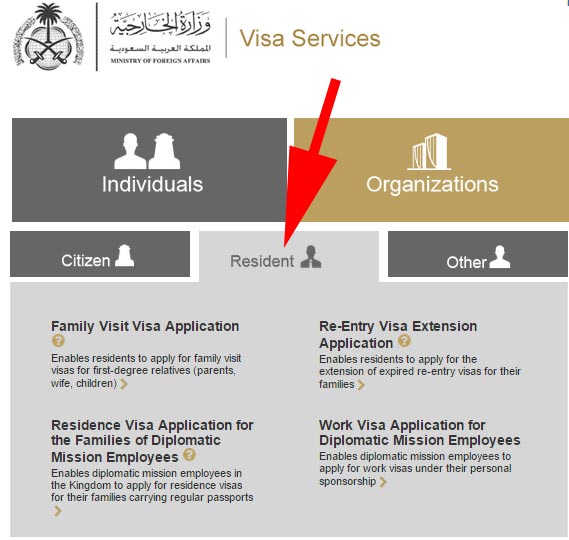 Visa status visit family U.S. Family
