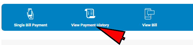 dhbvn-payment-history
