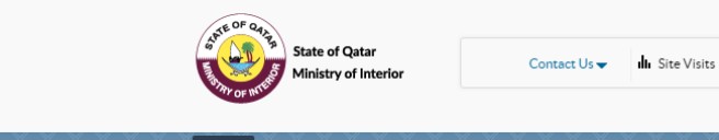 qatar visa checking