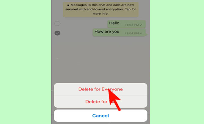How to Recall WhatsApp Messages