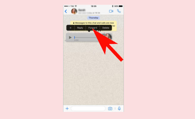 whatsapp voice to text iphone